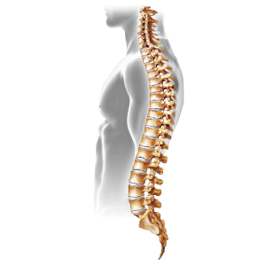 Spinal Stenosis Treatment Boca Raton