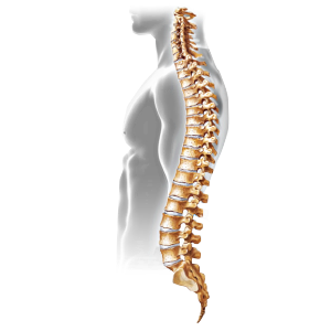 Spinal Stenosis