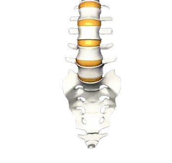Tailbone Injury